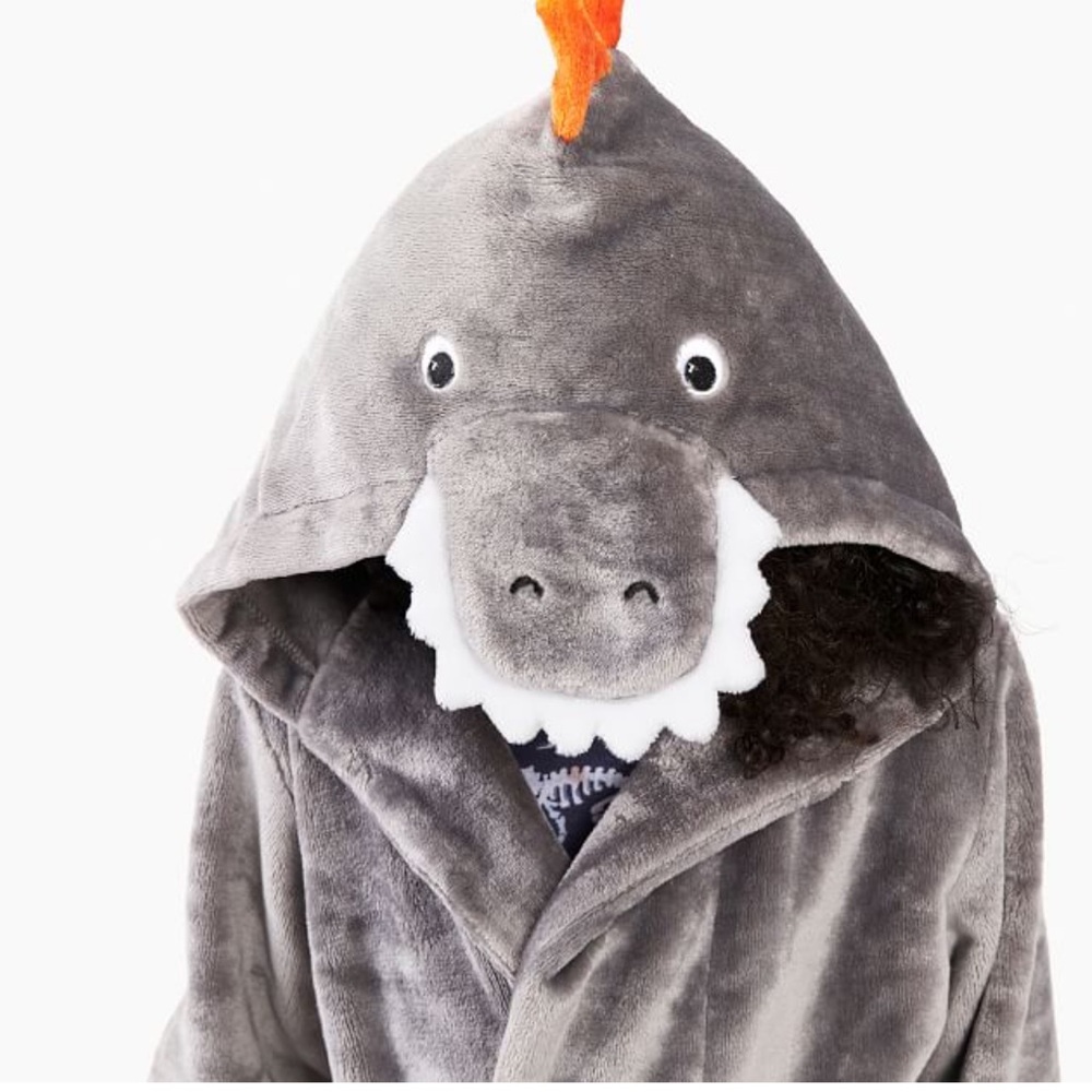 Pottery barn kids T-Rex Critter Robe